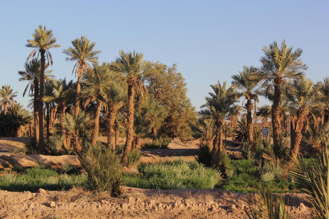 Palais Du Desert Hotel & Spa Erfoud Extérieur photo